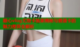 糖心vlog尤物卡独家揭秘与普通卡的魅力差异全解析