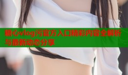 糖心vlog污官方入口精彩内容全解析与最新动态分享